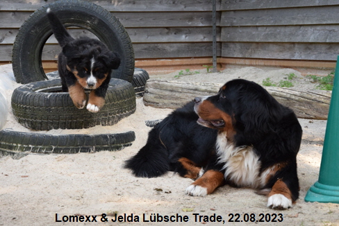 Lomexx & Jelda Lbsche Trade, 22.08.2023