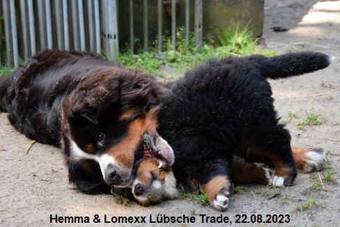Hemma & Lomexx Lbsche Trade, 22.08.2023