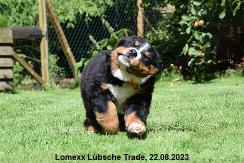 Lomexx Lbsche Trade, 22.08.2023