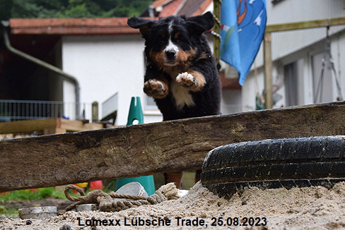 Lomexx Lbsche Trade, 25.08.2023