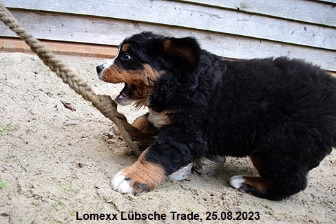Lomexx Lbsche Trade, 25.08.2023