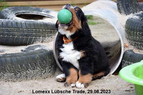 Lomexx Lbsche Trade, 29.08.2023