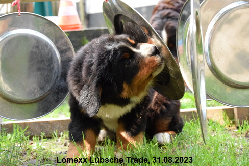 Lomexx Lbsche Trade, 31.08.2023