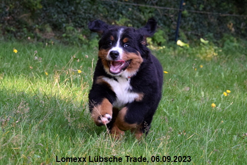 Lomexx Lbsche Trade, 06.09.2023