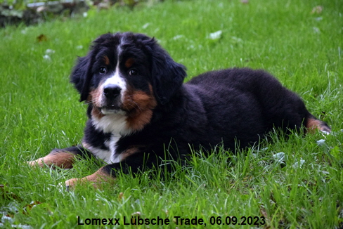 Lomexx Lbsche Trade, 06.09.2023