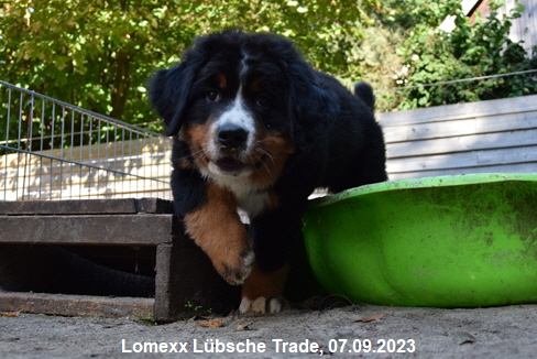 Lomexx Lbsche Trade, 07.09.2023