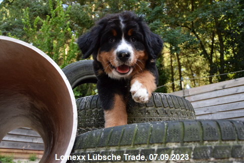 Lomexx Lbsche Trade, 07.09.2023
