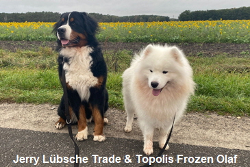 Jerry Lbsche Trade & Topolis Frozen Olaf