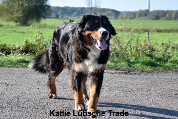 Kattie Lbsche Trade