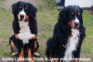 Kattie Lbsche Trade & Jano vom Rnnbaum